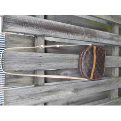 Louis Vuitton model Blois