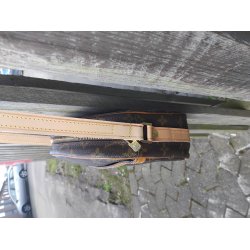 Louis Vuitton model Blois