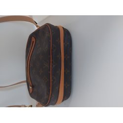 Louis Vuitton model Blois