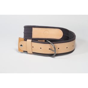 Canvas blte kombineret med kernelder