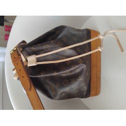 louis Vuitton model Noe Monogram Canvas