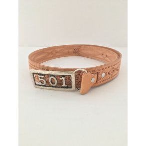 Prget amerikaner blte med dekorativt pladespnde